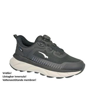 Bagheera
