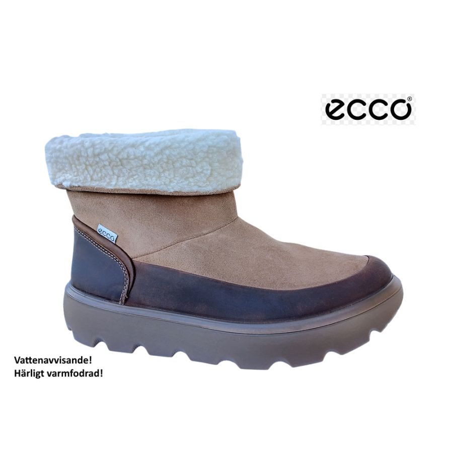 Ecco